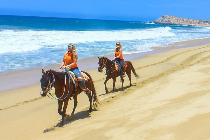Los Cabos Horseback Riding Tour: Pacific Beach Ride & Tequila Tasting photo 6