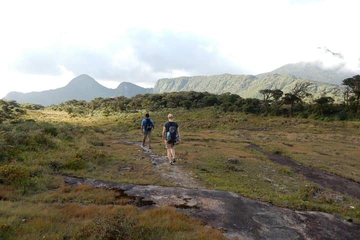 Knuckles Mountain Camping Tour from Kandy — 2-Day Trek & Overnight Base Camp photo 2