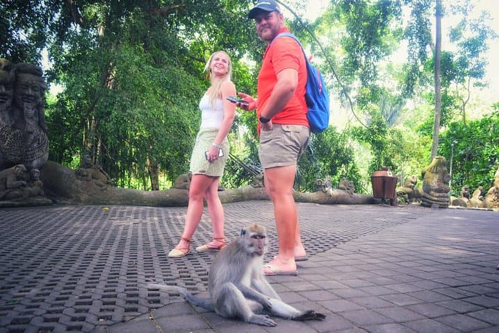 Ubud Private Tour — Customize Your Day Among Waterfalls, Rice Terraces & Temples photo 2