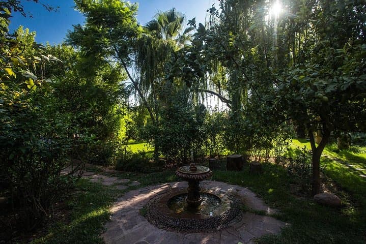 Ourika Garden Guided Day Trip from Marrakech — Aromatic Herbs & Atlas Valley Walk