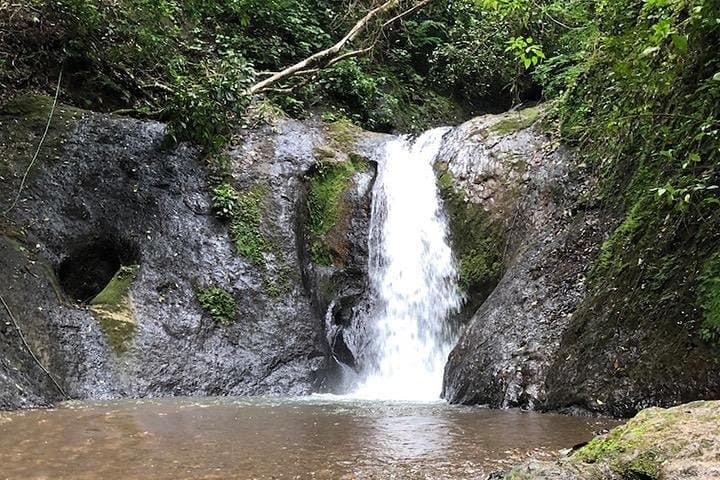 Off-Road Buggy Tour in Jaco — Rice Fields, Waterfalls & Pacific Ridge Views photo 6