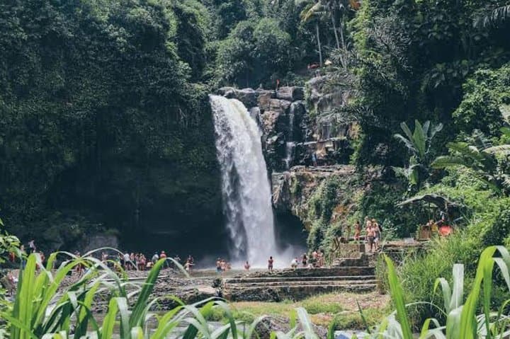 Custom Day Trip in Bali: Ubud Rice Terraces, Temples & Waterfall Highlights photo 5