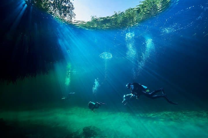 Discover Scuba Diving at Casa Cenote — Intro Dives from Riviera Maya photo 4