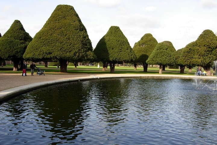 Private Westminster Walking Tour — Buckingham, Abbey & Central London Highlights photo 6