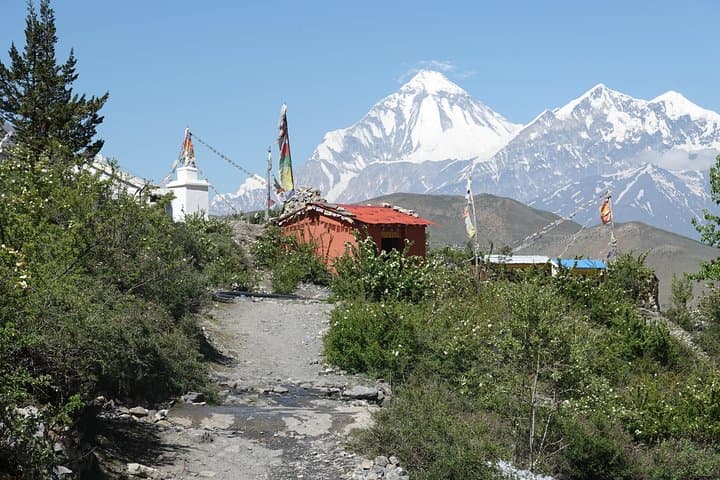 Annapurna Circuit Trek: Essential Guide to Thorong La, Manang & Muktinath photo 2