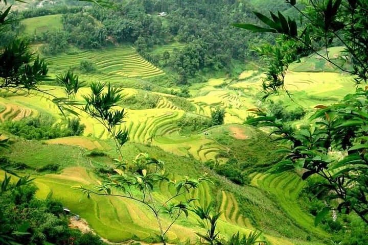 Two-Day Sapa Trek and Homestay in Ta Van: Rice Terraces, Ethnic Villages, and Muong Hoa Valley photo 2