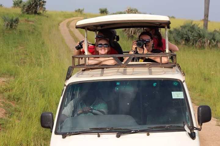 7-Day Uganda Safari: Murchison Falls to Queen Elizabeth — Midrange Lodge Adventure