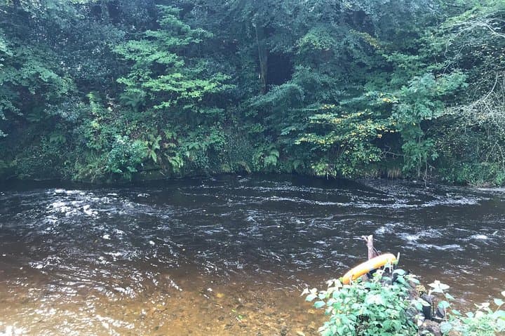 Forest Wood-Fired Sauna and Cold-Water River Swim on the River Avon, Devon photo 3