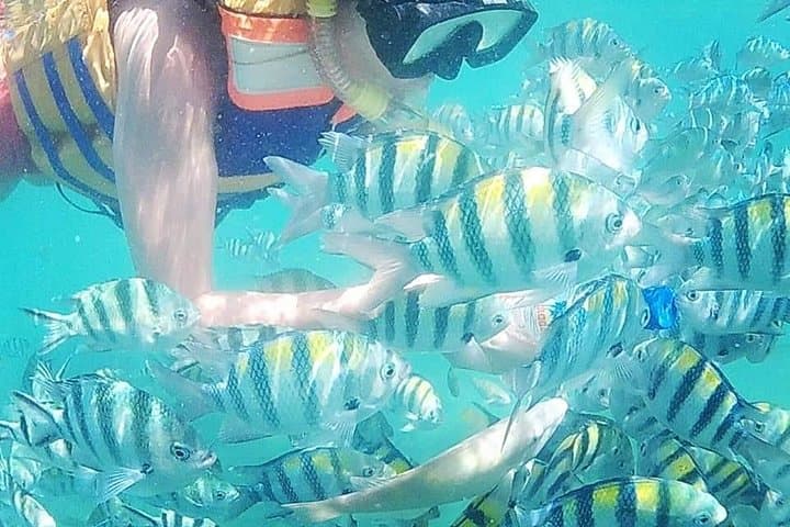 Lombok Backpacker 4D/3N: Beaches, Waterfalls & Secret Gilis photo 2