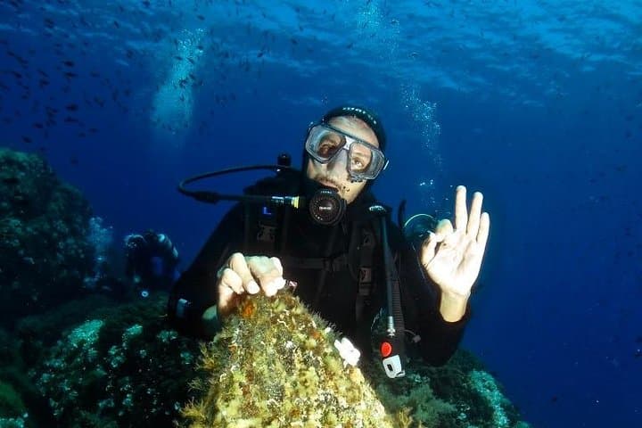 Try Scuba Diving on Elba Island: Beginner SSI Dives photo 5