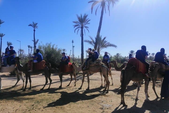 Camel Ride Through Marrakech's Palmeraie: 1-Hour Sunset Oasis Experience