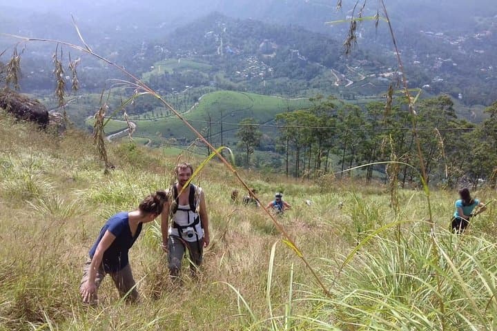 Munnar Mountain Hike and Tea-Plantation Sunset Escape photo 3