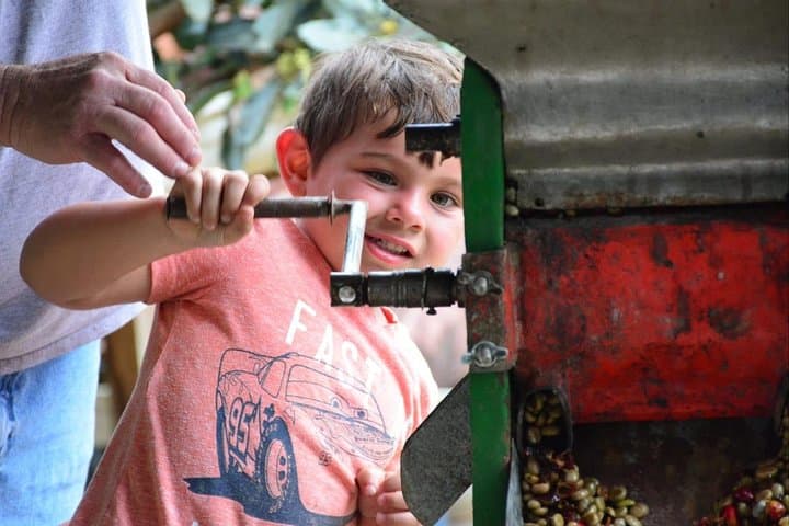 Inside Los Sauces: Coffee Micro‑Mill Tour in Orosi Valley
