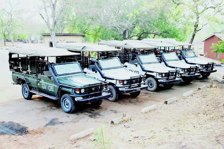 Yankari Game Reserve & Sumu Wildlife Park: 2-Day Safari in Bauchi, Nigeria photo 6