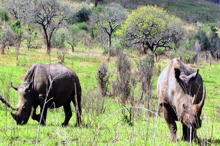 Yankari Game Reserve & Sumu Wildlife Park: 2-Day Safari in Bauchi, Nigeria