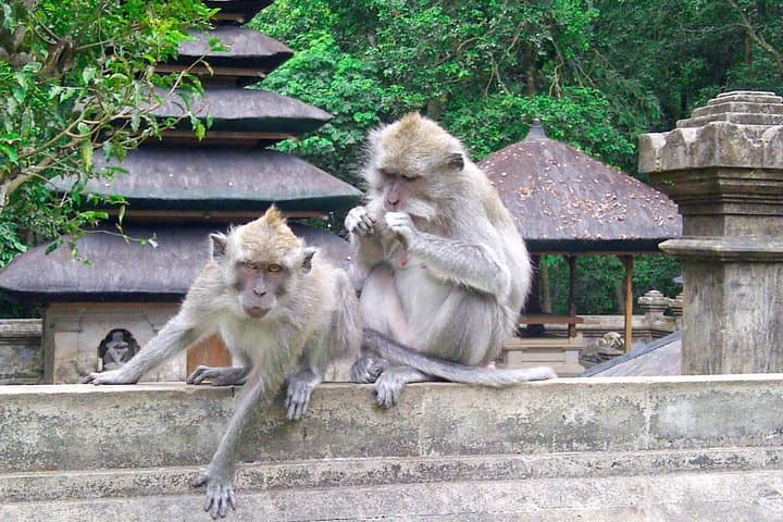 Best Bali 4-Day Package: Uluwatu, Ubud & Bedugul Highlights photo 3