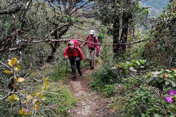 Hike Kirigalpotta: Summit Sri Lanka's 2nd-Highest Peak via Horton Plains photo 2