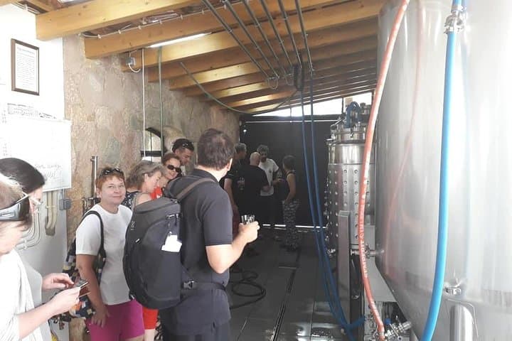 Algarve Coast & Wine Tasting Private Van Tour from Albufeira photo 4
