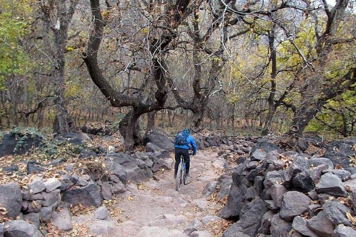 Easy 5-Day Cycling Adventure from Marrakech into the High Atlas photo 2