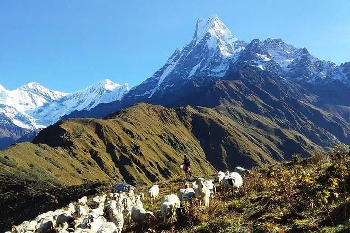 Mardi Himal Base Camp Trek: Off‑beat Annapurna Route to 4,500m photo 2