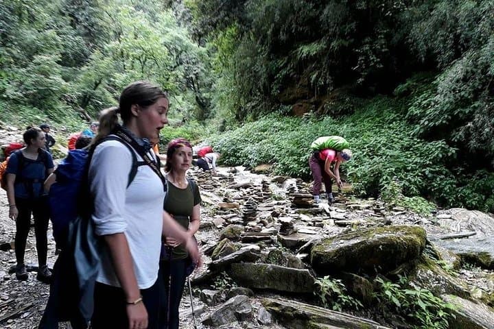 Annapurna Base Camp Trek: 12-Day Himalayan Trek from Pokhara to ABC photo 3
