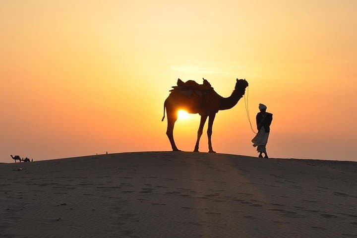 Sunrise and Sunset Camel Safari in Jaisalmer's Thar Desert photo 3
