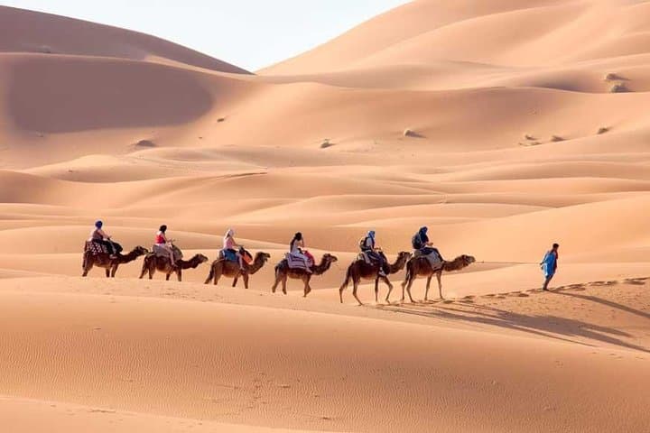 Zagora Desert Overnight: 2-Day Small-Group Tour from Marrakech photo 4