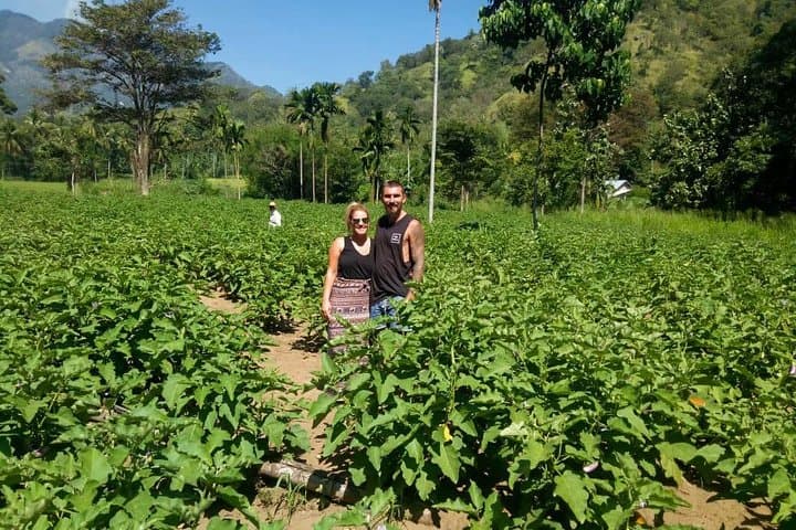 Haputale Highlands Day Trip from Nuwara Eliya — Lipton’s Seat, Dambatenne & Adisham photo 6