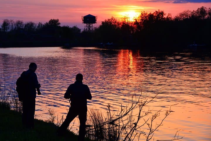 Four-Day Danube Delta Safari from Bucharest — Birds, Letea Forest & Sulina photo 4