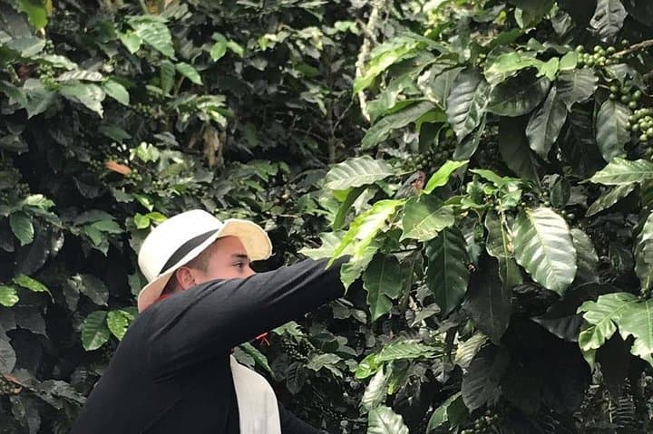 Medellín Coffee Tour: All-Inclusive Farm Visit & Tasting