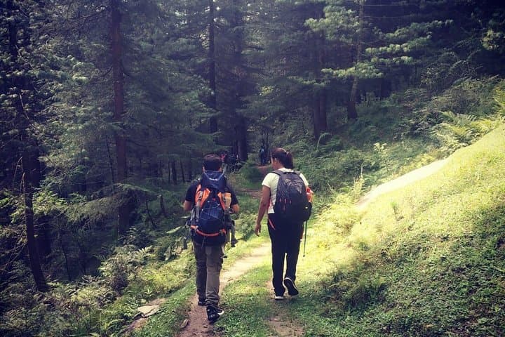 Prashar Lake Trek: 2-Day Himalayan Trek and Camping at 2,730m photo 6