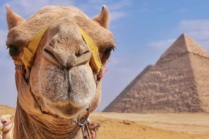 Camel Ride Around Giza Pyramids: Private Tour to the Great Sphinx photo 3