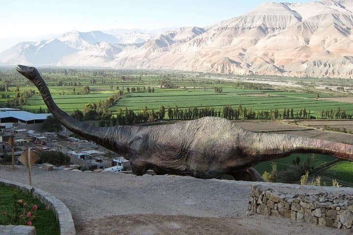 Full-Day Majes Valley Tour: Toro Muerto Petroglyphs & Querullpa Dinosaur Tracks from Arequipa