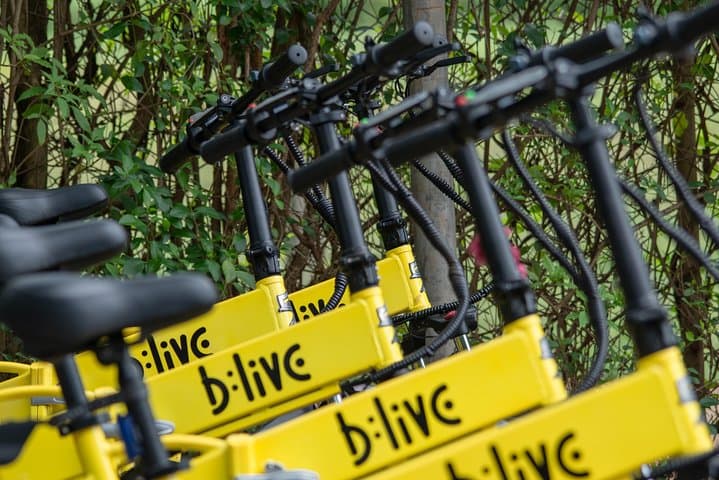 E‑Bike Divar Island Discovery: Old Goa Ferry, Temples & River Views photo 6