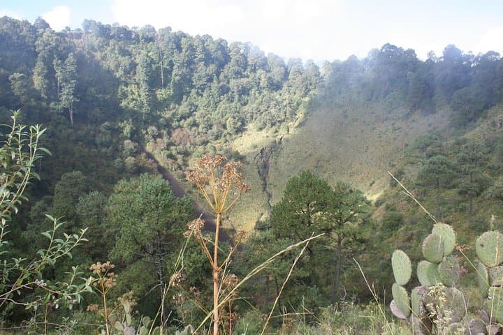 Hike Xitle Volcano and Explore Volcanic Caves in Mexico City photo 2