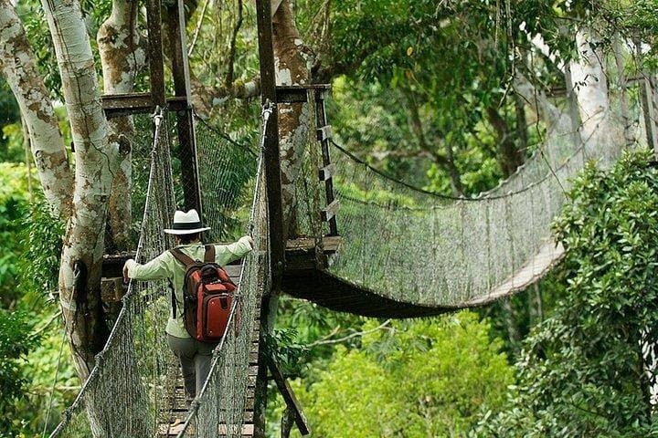 4-Day Tambopata Amazon Lodge: Macaws, Clay Licks & Lake Sandoval Wildlife photo 2