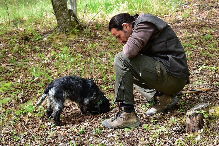 Truffle Hunt and Organic Lunch Near Assisi: Foraging the Black Diamonds of Umbria photo 4