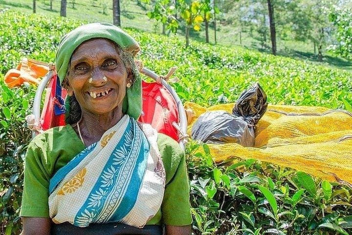 Day Tour of Nuwara Eliya: Tea Estates, Ramboda Falls & Gregory Lake in One Day photo 3