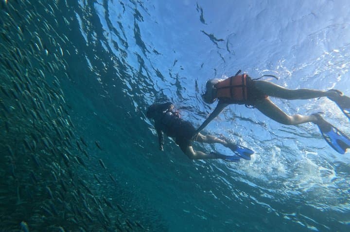 Moalboal Sardines, Turtles & Kawasan Falls: Full-Day Adventure from Cebu photo 4
