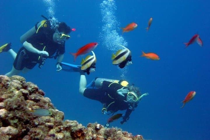 Discover Scuba Diving from Kusadasi Port: Introductory Aegean Dive photo 3