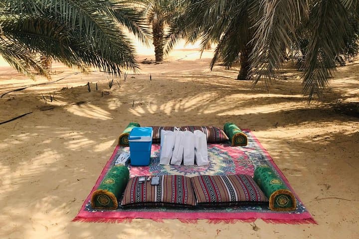 Empty Quarter Sunset Safari: Moreeb Dunes & Liwa Oasis Day Trip photo 4