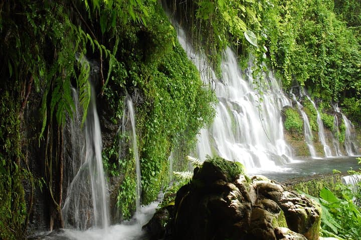 Coffee Country and Ruta de las Flores: A Day in El Salvador’s Volcanic Highlands