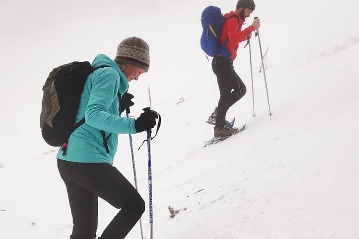 Poiana Brașov Snowshoe Tour: Guided Winter Walks Near Brașov photo 5