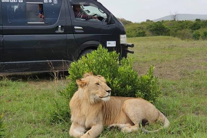 Explore Nairobi’s Wild Heart: A Day Trip Through Nature, Culture, and History photo 3