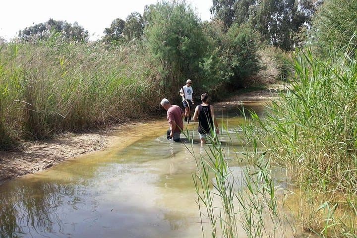 3-Day 4WD Negev Adventure: Mitzpe Ramon to Eilat Mountains photo 4