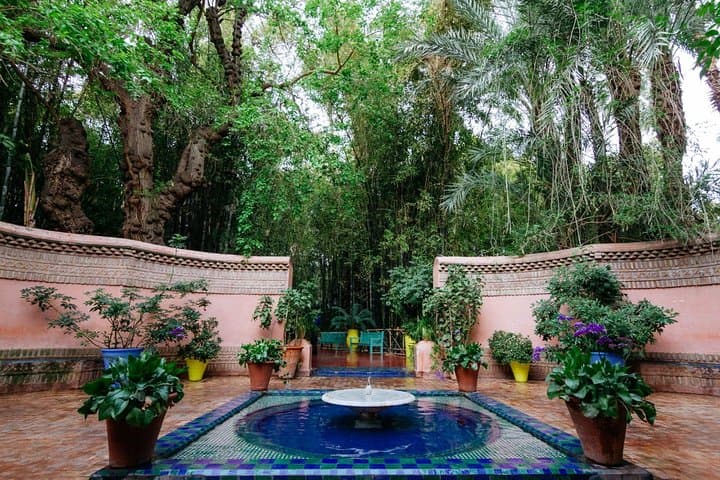 Half-Day Marrakech Gardens Tour — Majorelle, Menara & Anima photo 4