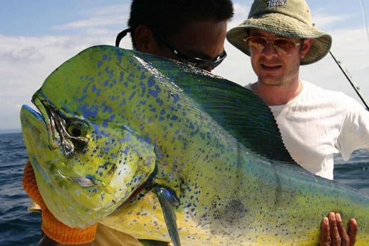 Orlando Deep Sea Fishing Charter: Cape Canaveral Offshore Trips for Sailfish & Tuna photo 3