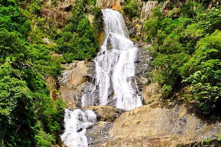 Private Half-Day World Heritage Rainforest & Barron Falls Tour from Cairns photo 6