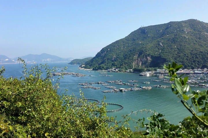Private Lamma Island Day Tour from Hong Kong — Ferry, Village Walks & Seafood photo 6