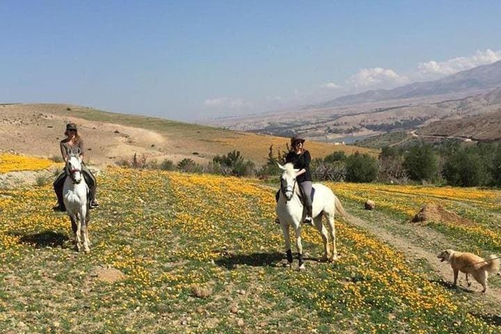 Palmeraie Horseback Ride: Desert Trails & Atlas Views from Marrakech photo 2